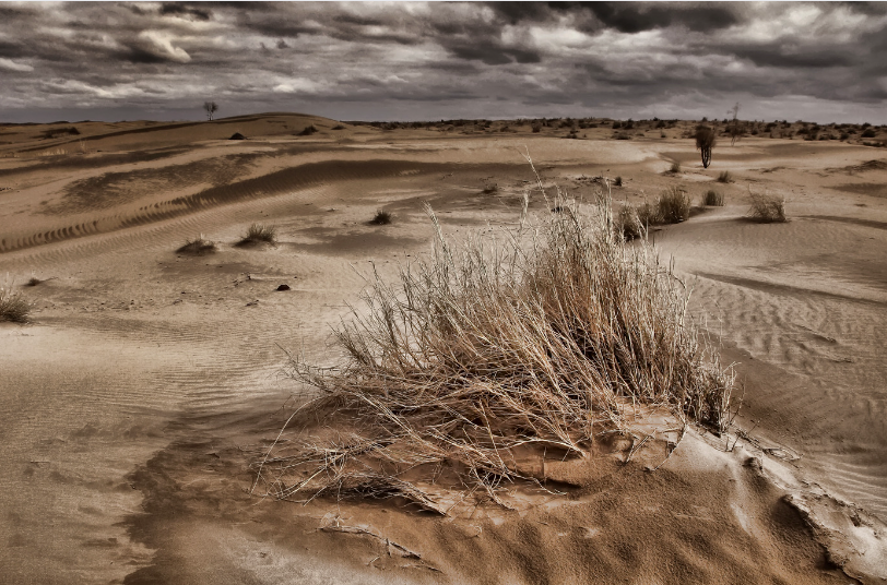 Karakum Desert - The Black Sands of The Silk Road