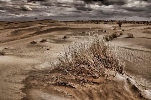 Karakum Desert - The Black Sands of The Silk Road